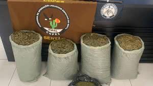 PM apreende mais de 62 kg de drogas e 37 armas de fogo em uma semana - Divulgação / PMAL