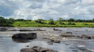Bombeiros resgatam corpo que estava preso em vegetação no Rio Paraíba - CBMAL