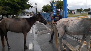 Serviço está disponível à população em qualquer área da Capital. - Foto: Ascom SMS