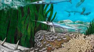 Revista Nature/Divulgação