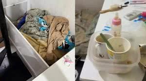 Foto: Divulgação/PCERJ