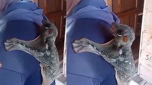 Reprodução/Redes sociais