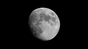 Foto: Reprodução/Freepik