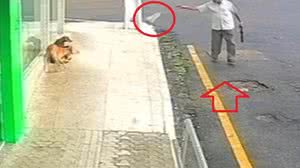 A imagem do idoso com os alimentos envenenados na sacola foi captada por câmeras de segurança