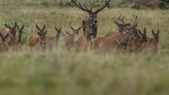 Foto: Ilustrativa/Freepik