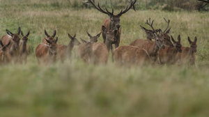 Foto: Ilustrativa/Freepik