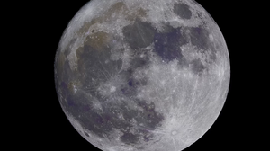 Foto: Ilustrativa/Freepik