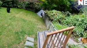 Foto: Reprodução/X