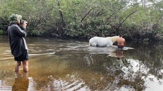 Curta alagoano “O Mapa em que Estão os Meus Pés” vence prêmio da crítica em Gramado - Foto: Divulgação