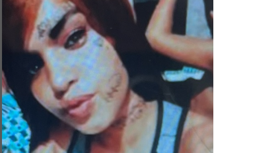 Ingrid Maria tinha 24 anos e foi encontrada morta neste domingo - Foto: Reprodução