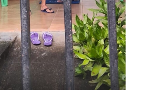 Reprodução/Instagram/Polícia Civil de Alagoas