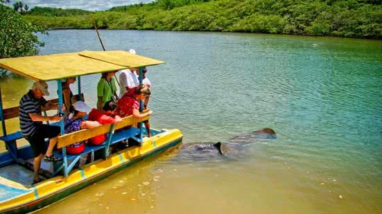 Passeios no Rio Tatuamunha estão mantidos, informou a Prefeitura - Foto: Associação Peixe-Boi