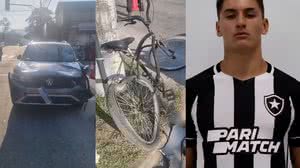 Reprodução e divulgação