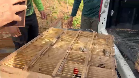 Foto: Divulgação/FPI