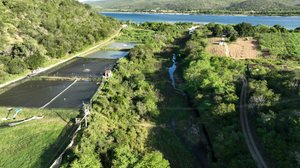 Foto: Rafael Vanderley/FPI