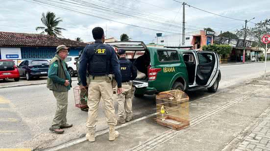FPI do São Francisco flagra irregularidades em criatório de aves em Arapiraca - FPI / MPAL