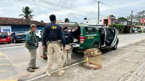 FPI do São Francisco flagra irregularidades em criatório de aves em Arapiraca - FPI / MPAL