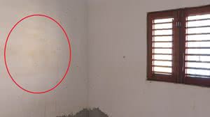 Foto: Reprodução/TV Pajuçara