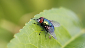 Foto: Reprodução/Freepik