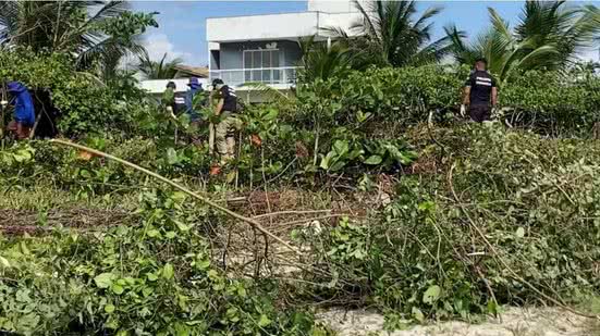 Peritos retornam a local de triplo homicídio em Ilhéus (BA) em busca de arma do crime - Reprodução / TV Santa Cruz