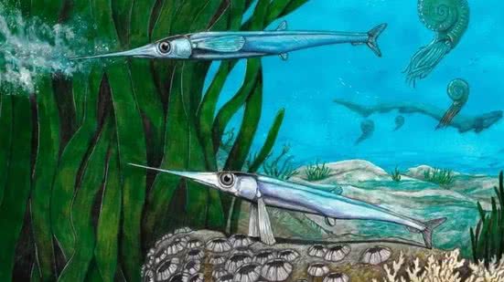 Foto: Maurilio Oliveira/Divulgação/Nature