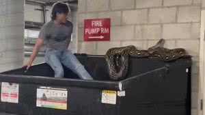 Foto: Reprodução/Redes Sociais