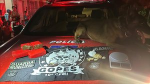 Polícia Militar prende chefe de facção criminosa em Campo Alegre - Foto: Cortesia/PM