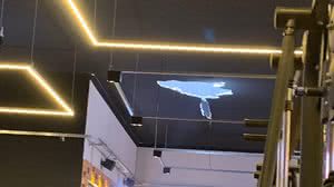 Imagem Homem que caiu de telhado de academia morre em hospital, em Arapiraca