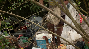 Reprodução/TV Pajuçara