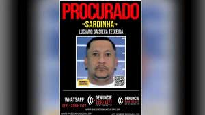 Foto: Reprodução/Disque Denúncia