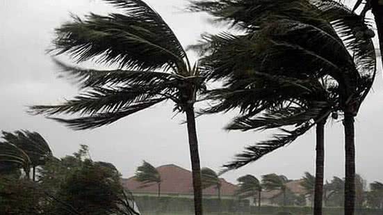 Imagem meramente ilustrativa - Reprodução