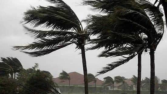 Imagem de arquivo - Reprodução