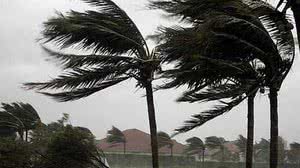 Imagem de arquivo - Reprodução