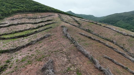 FPI do São Francisco constata maior desmatamento já registrado durante as 15 etapas da fiscalização em Alagoas - Foto: Cortesia/FPI do São Francisco