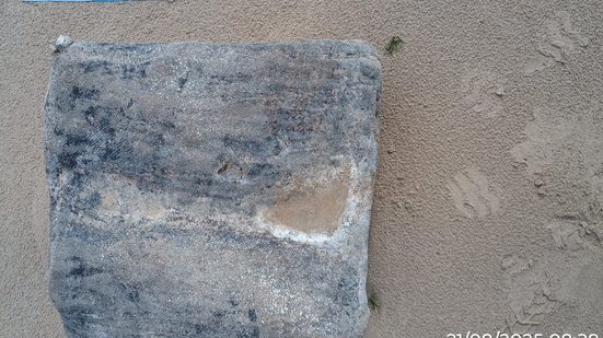 Material foi recolhido em praias de Maceió e Passo de Camaragibe - Foto: Cortesia/Biota