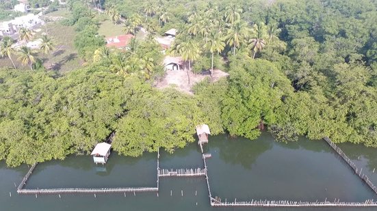 Base de Conservação de Mamíferos Aquáticos em Porte de Pedras - Foto: Cortesia