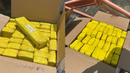 Foram apreendidas 30 caixas, totalizando 900 kg de maconha - Foto: Cortesia ao TNH1