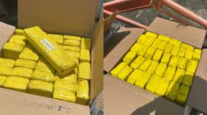 Foram apreendidas 30 caixas, totalizando 900 kg de maconha - Foto: Cortesia ao TNH1