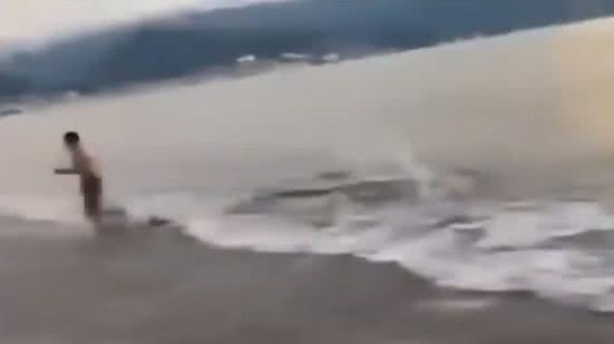 Banhista corre após perceber a presença de crocodilo em praia no México - Reprodução / Redes sociais