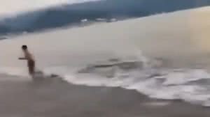 Banhista corre após perceber a presença de crocodilo em praia no México - Reprodução / Redes sociais