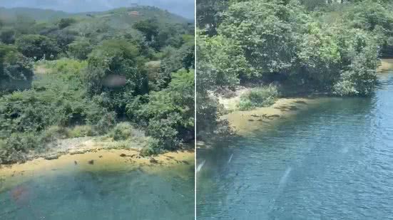 Imagens aéreas mostram buscas por homem que desapareceu no Rio São Francisco - Reprodução / DEA