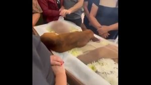 Foto: Reprodução/Redes Sociais