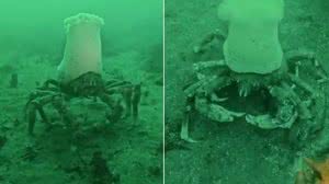 Reprodução/Instagram