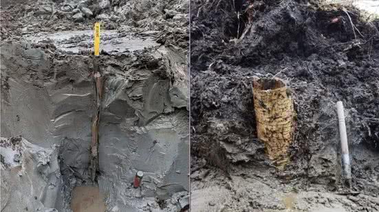 'Cápsula do tempo pré-histórica': tesouro de 5 mil anos é achado em pântano - Arkeologerna