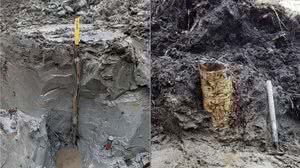 'Cápsula do tempo pré-histórica': tesouro de 5 mil anos é achado em pântano - Arkeologerna