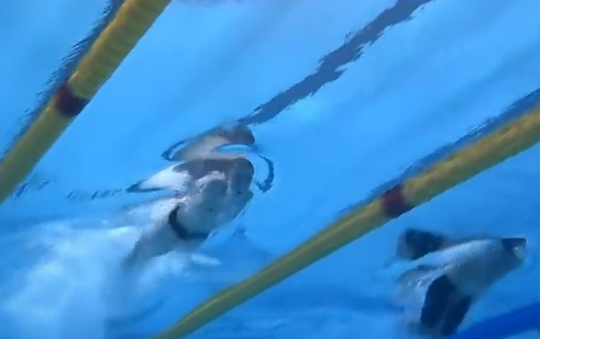 Foto: Reprodução/GE