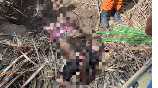 Divulgação / Polícia Civil de Alagoas