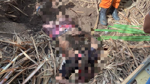 Divulgação / Polícia Civil de Alagoas