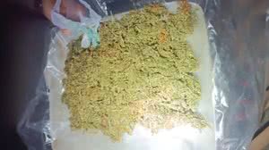 Imagem PM apreende menor por furto e detém suspeito com drogas no Sertão