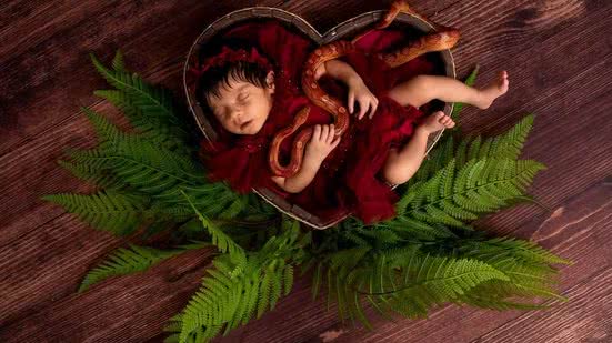 Foto: Reprodução/Arquivo Pessoal